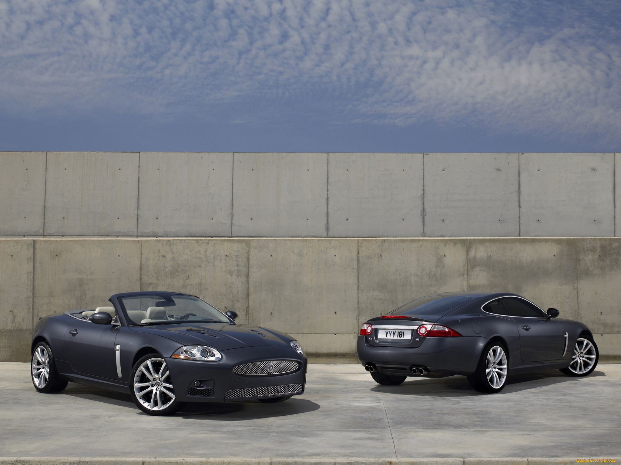 , jaguar